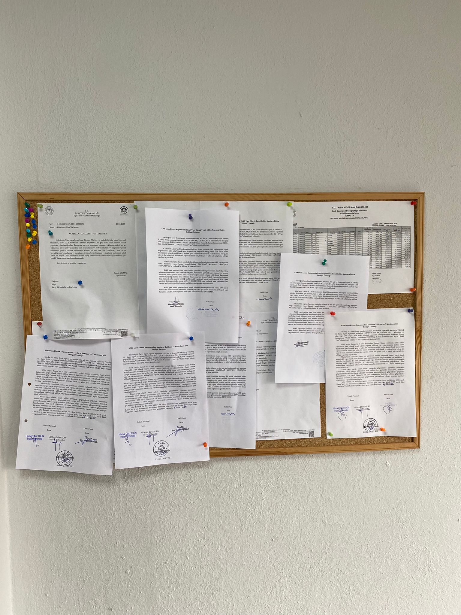 WhatsApp Image 2025-11-03 at 16-50-58