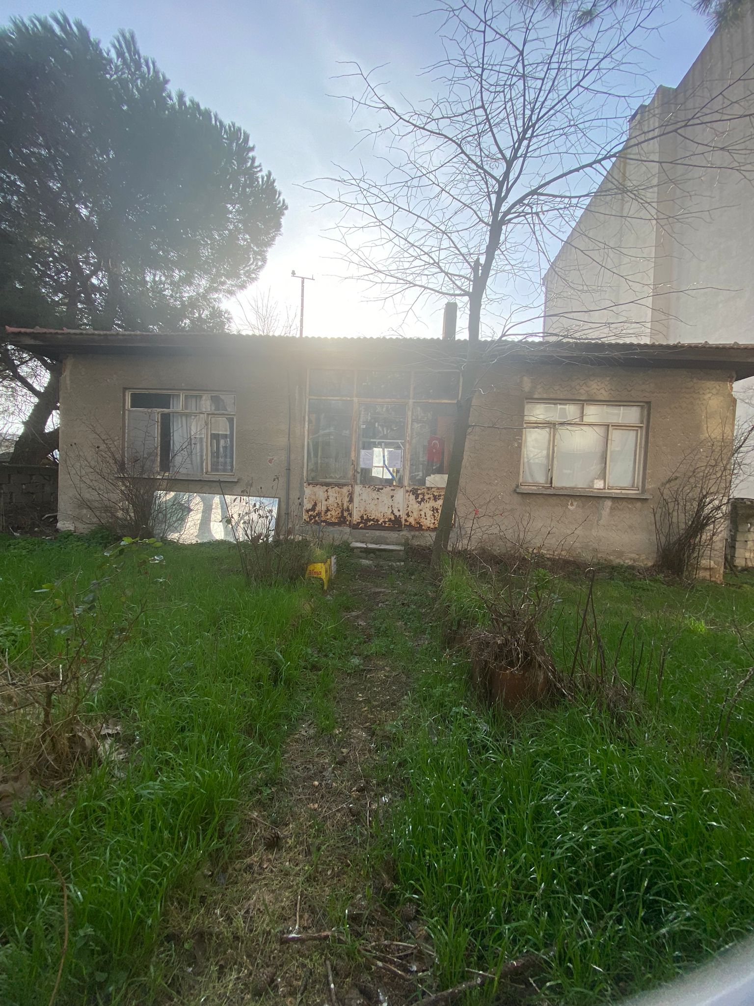 WhatsApp Image 2026-03-05 at 10-35-19